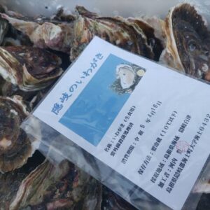 隠岐のいわがき 岩ガキ