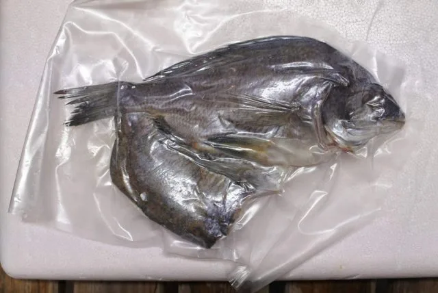境港産 クロダイ ( チヌ ) 一夜干し 1枚入【冷凍】 - かやの鮮魚店