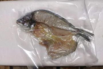 チヌ