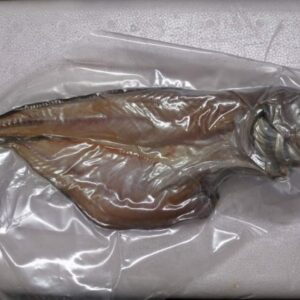 ヨロイイタチウオ