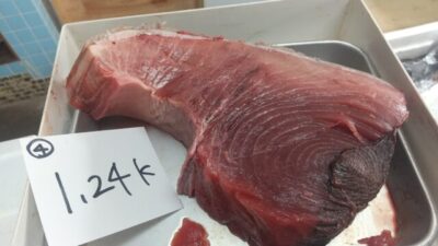 境港産黒マグロ ブロック