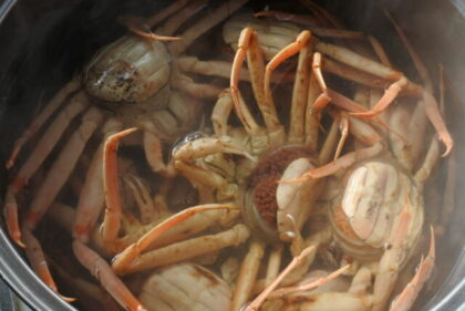 親ガニ　セコガニ