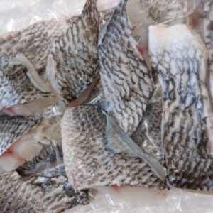 クロダイの切り身