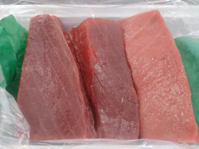 境港産本マグロ 柵（中トロ・赤身）入合せ - かやの鮮魚店
