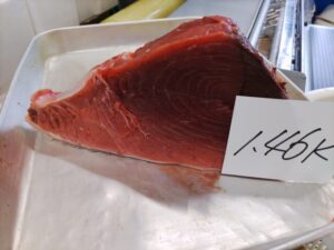 境港産本マグロ（クロマグロ） 腹しも（上）部分 生 ブロック