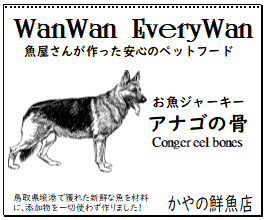 アナゴの骨 conger eel bones