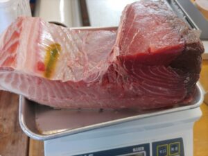 境港産本マグロ（クロマグロ） 腹なか部分 生 ブロック