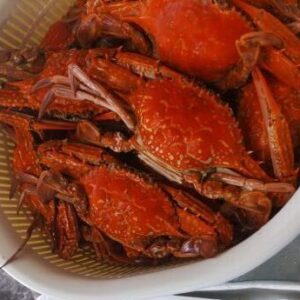 アオデガニ（ボイル）