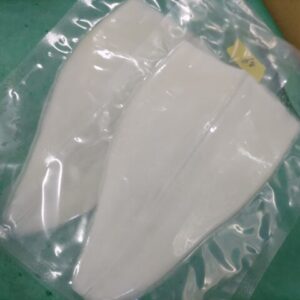 ヤリイカ テナシイカ