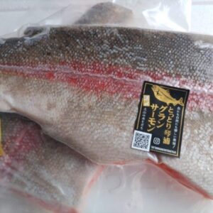 琴浦グランサーモン