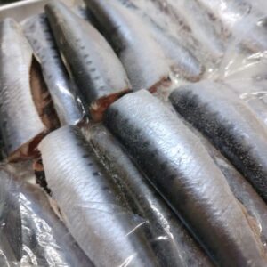 マイワシ ドレス