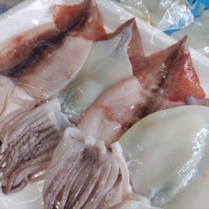 開き スルメイカ