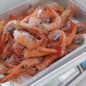 赤エビ 甘えび 訳アリ